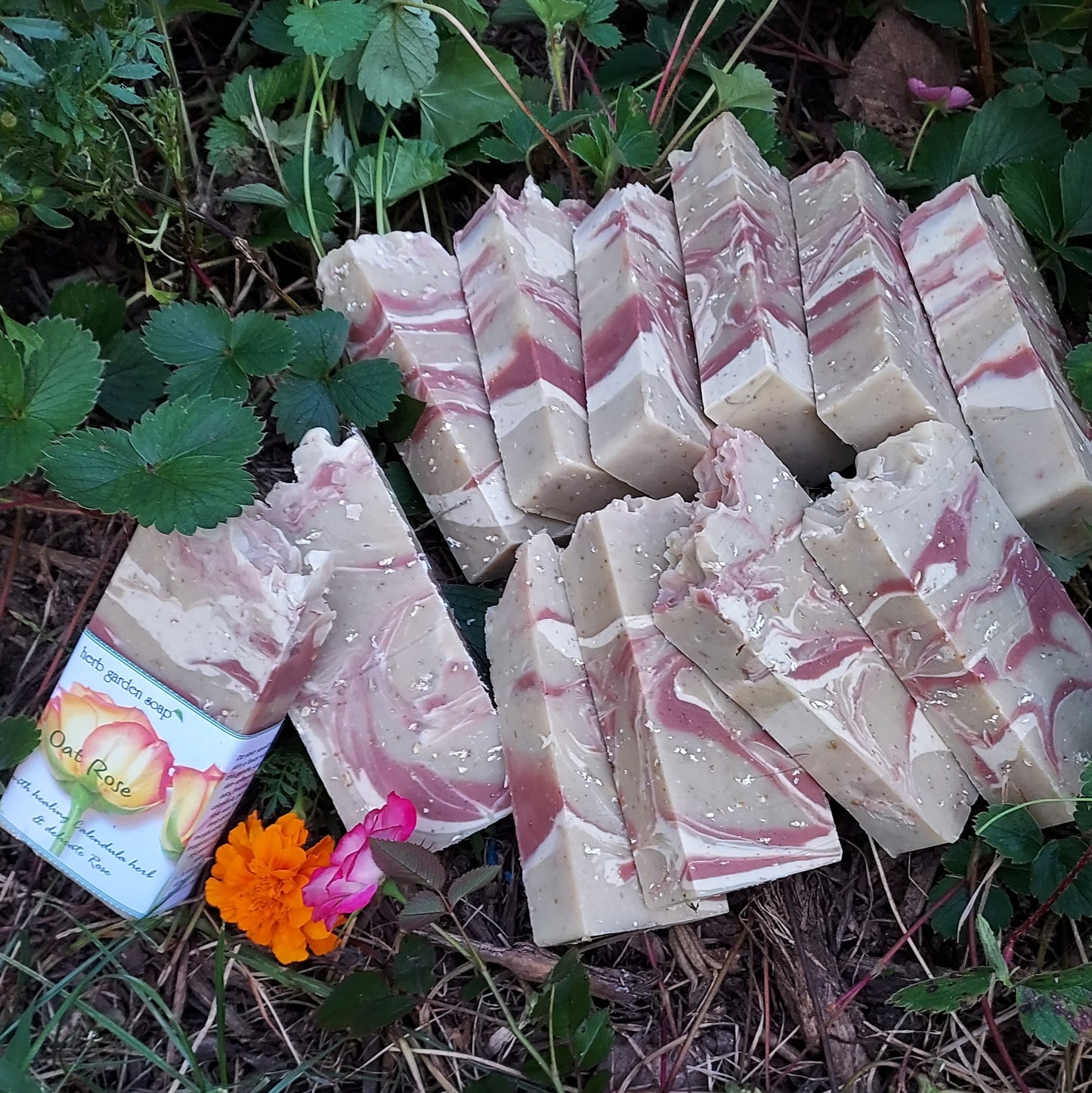 Oat Calendula Rose Natural Soap