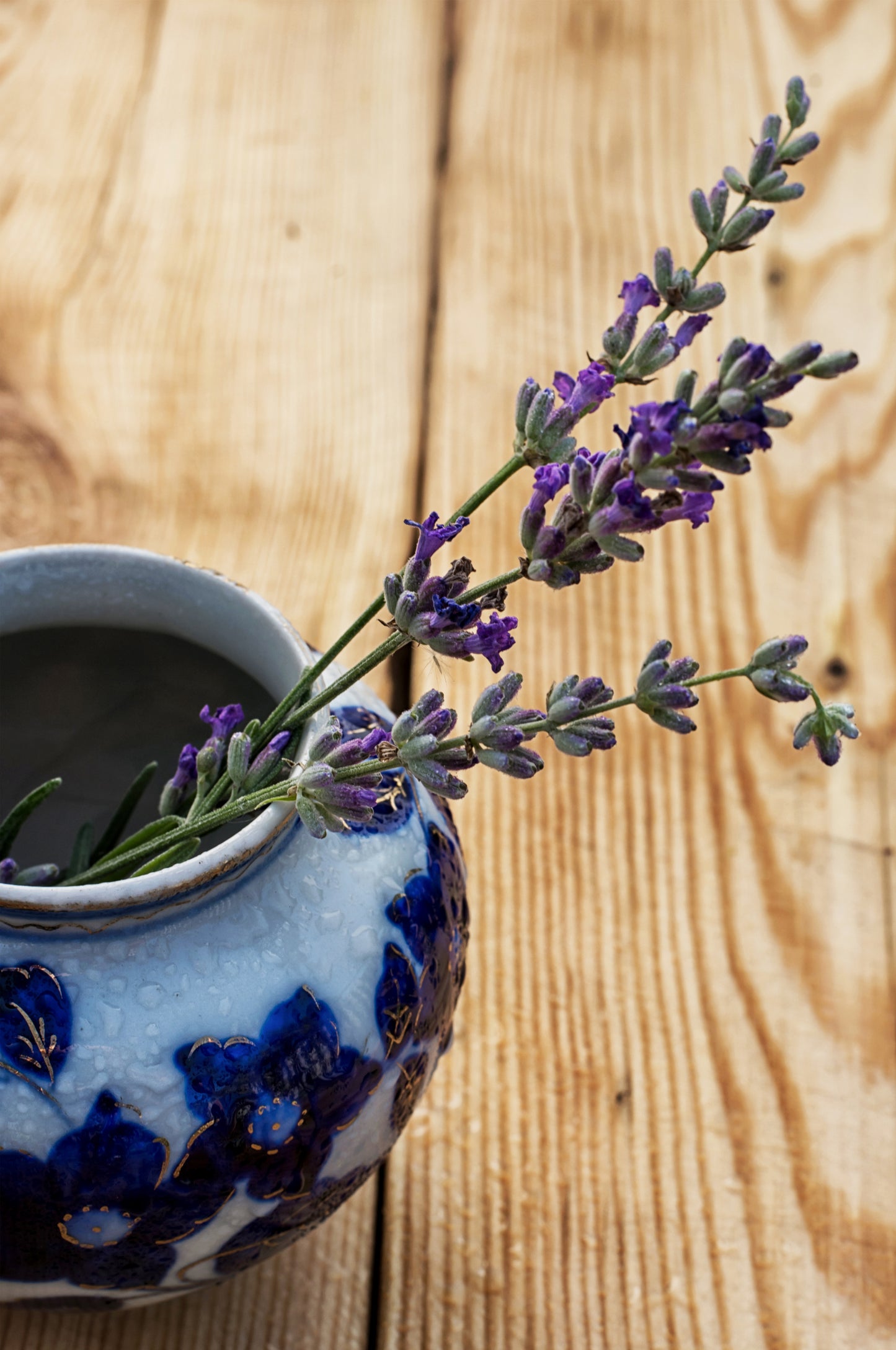 Essential Oil: Lavender Grosso