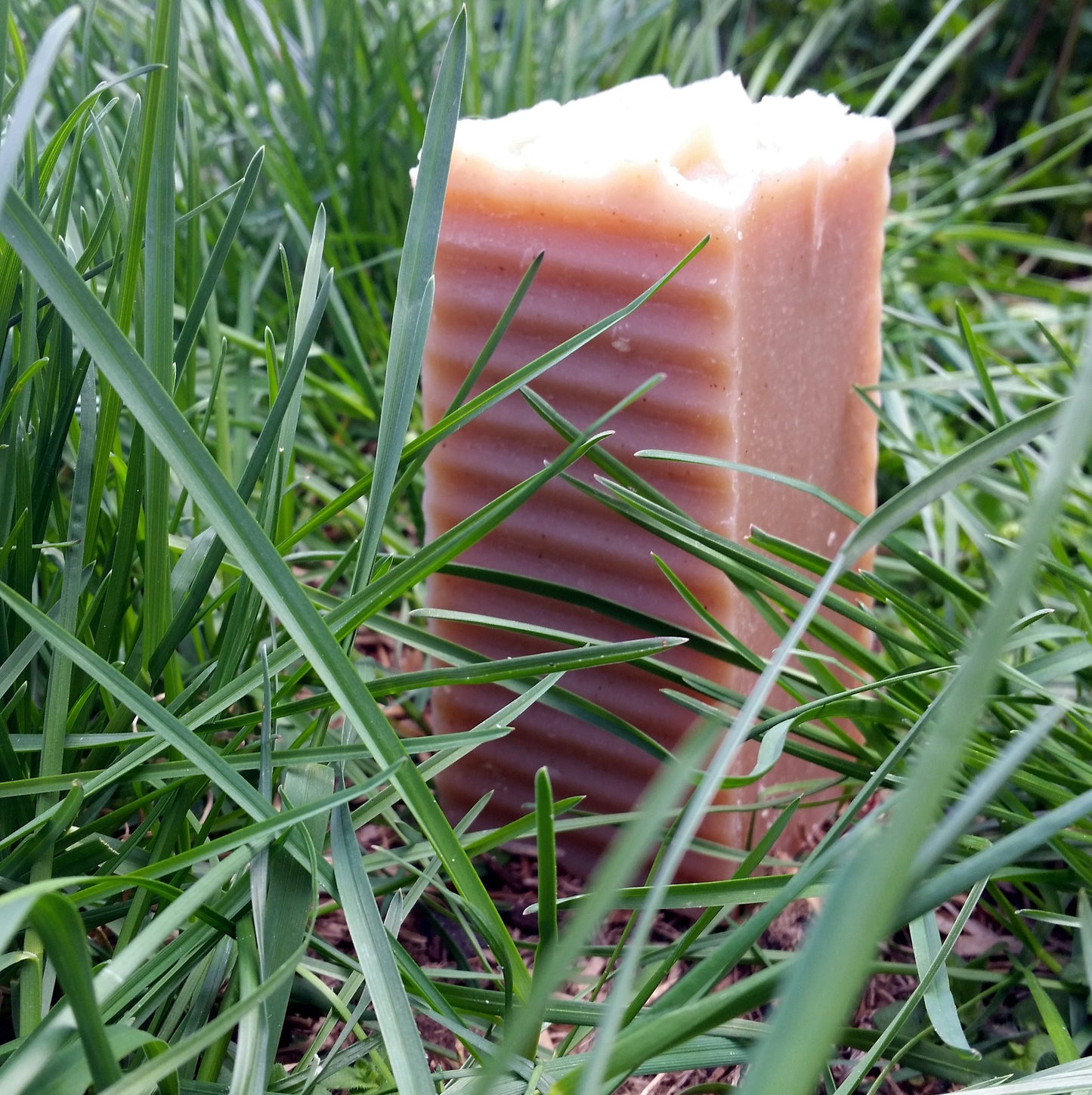 Jewelweed Handmade Natural Soap
