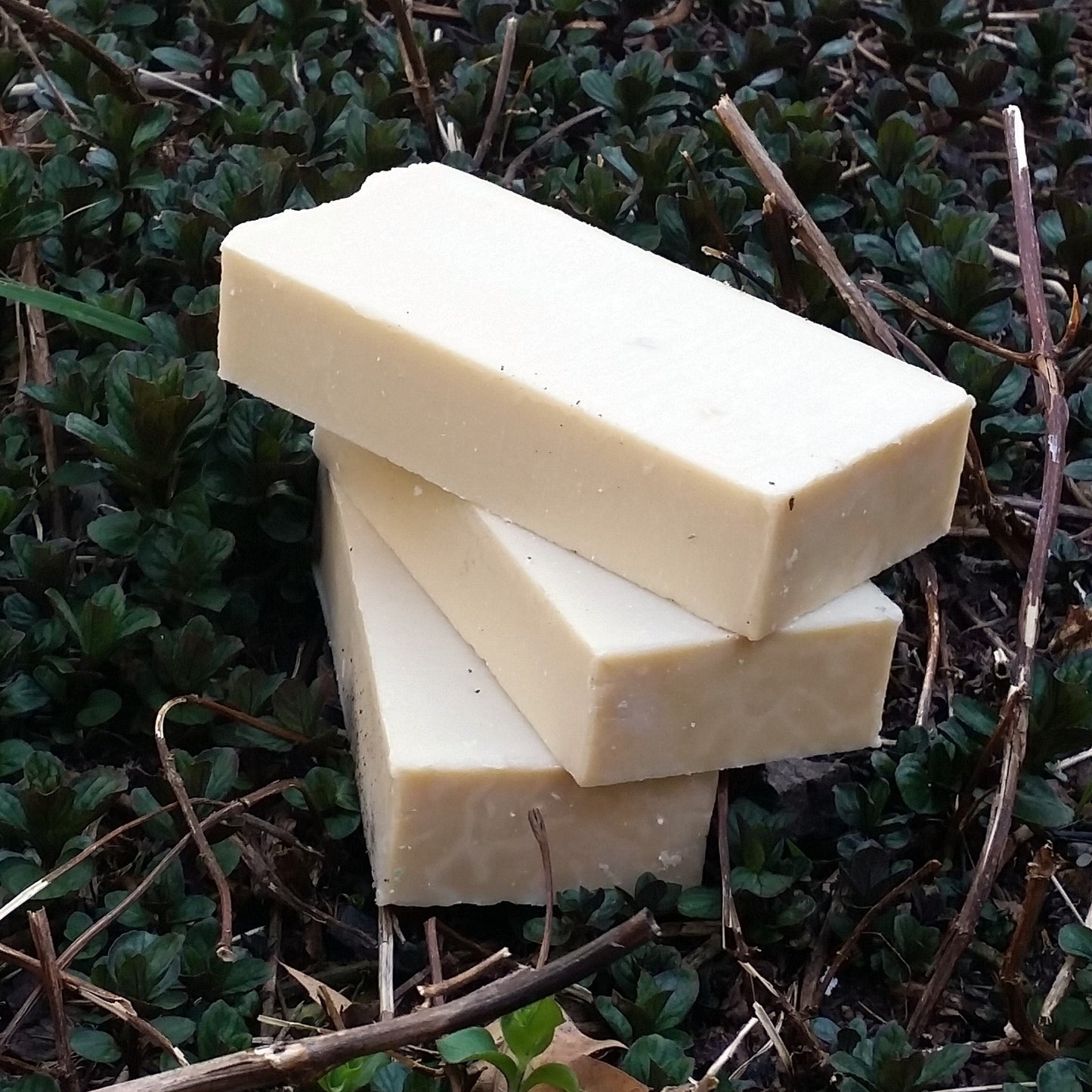 Unscented Body Care : The Whole Shebang