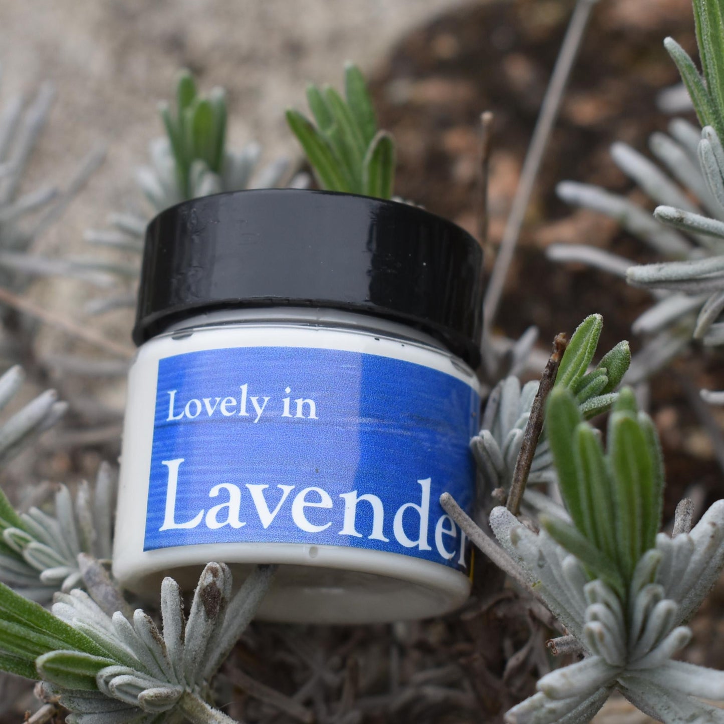 Lavender Organic Cream