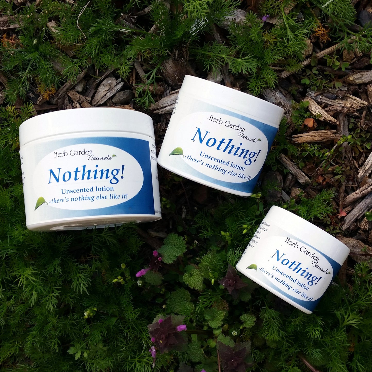 Unscented Body Care : The Whole Shebang