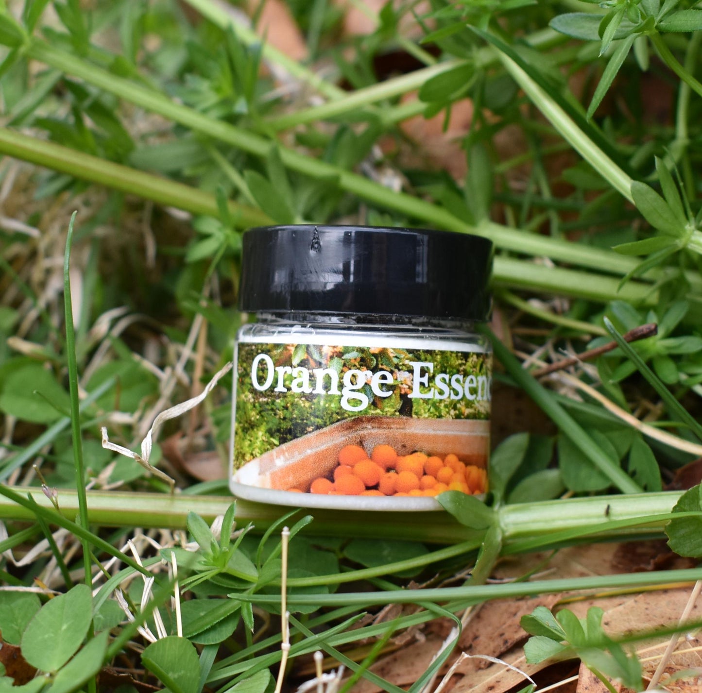 Orange Essence Body Butter Organic Cream