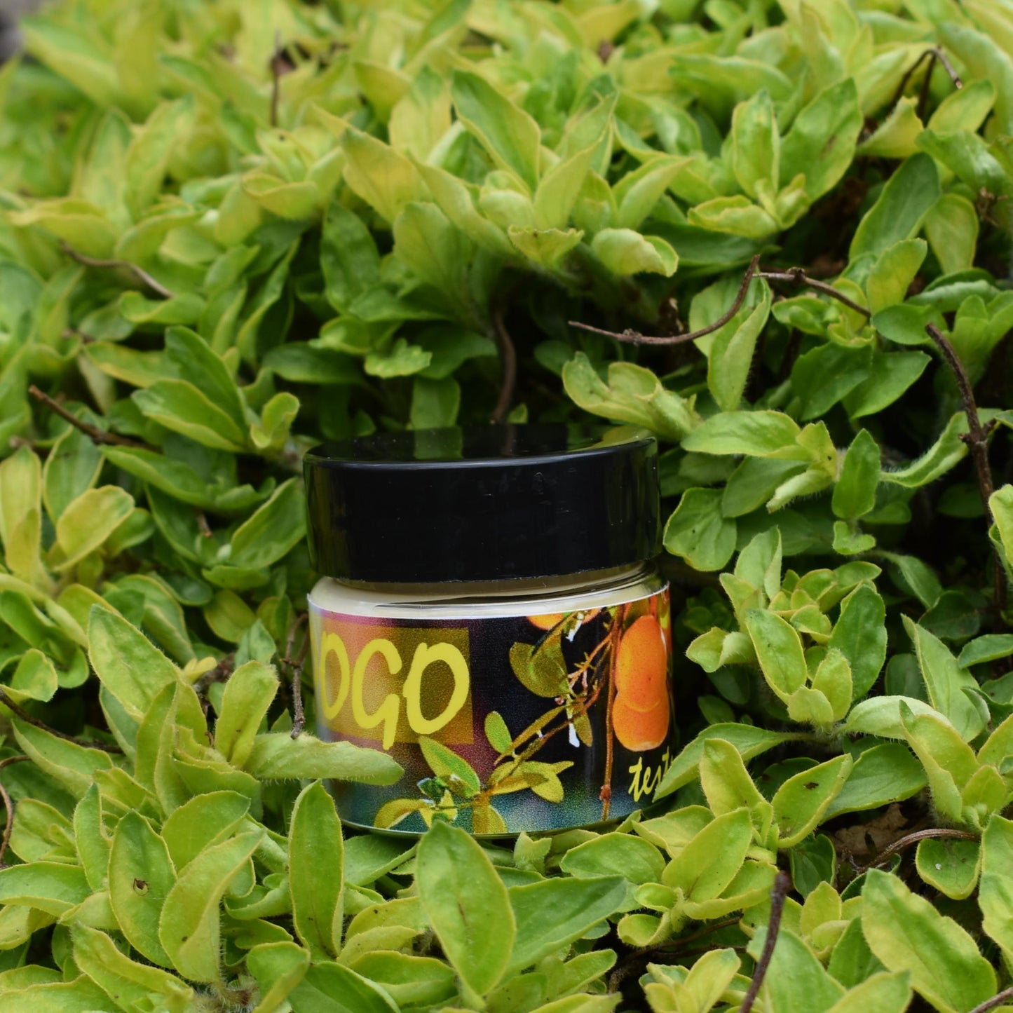 Pogo Organic Body Cream