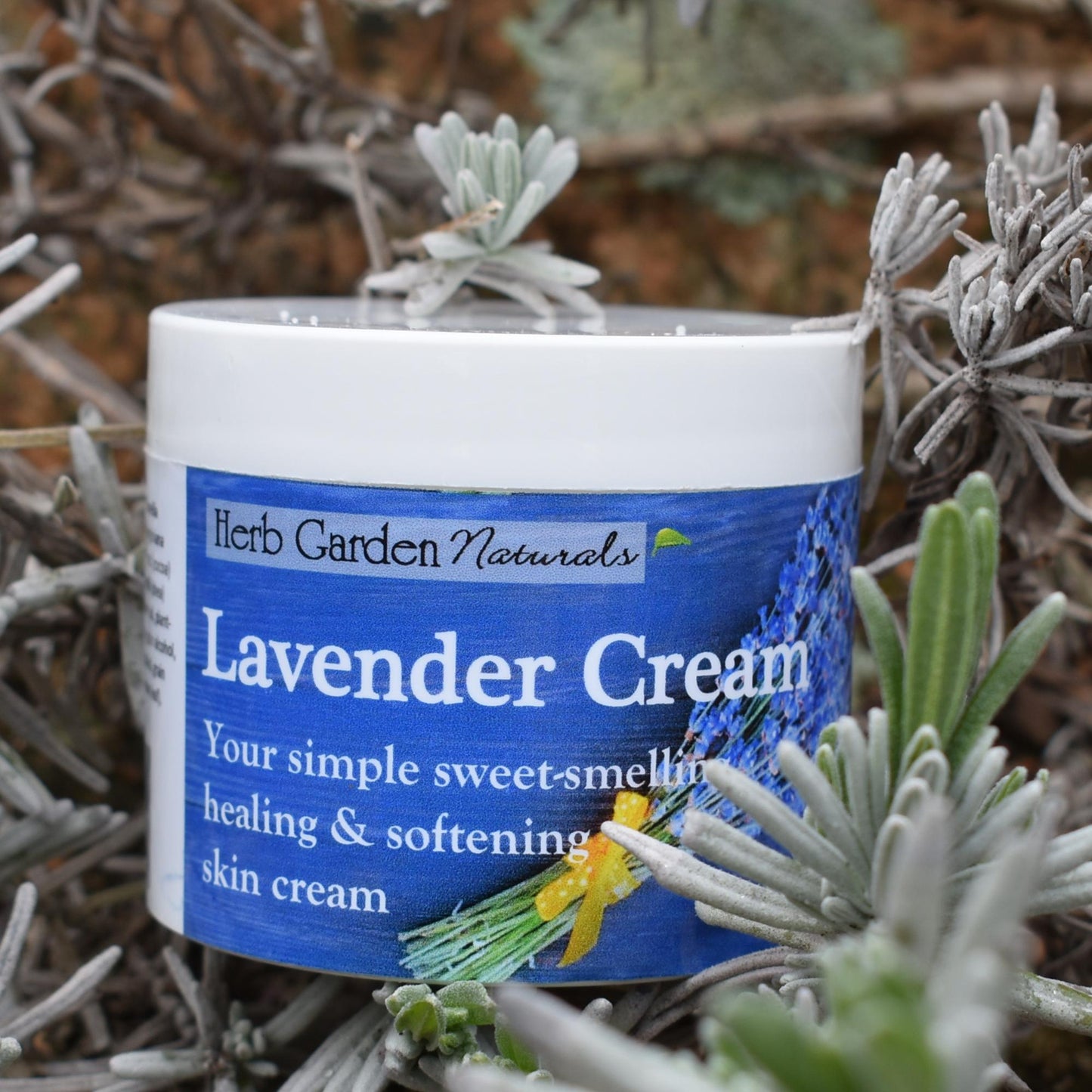 Lavender Organic Cream