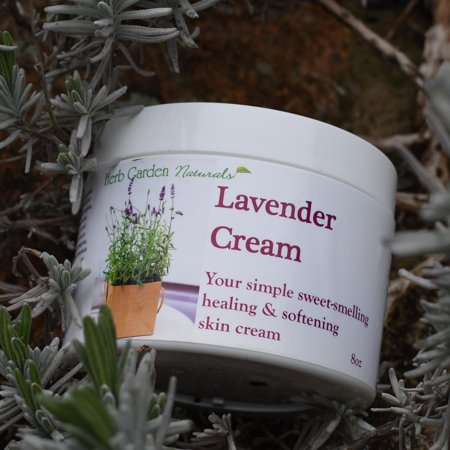 Lavender Organic Cream