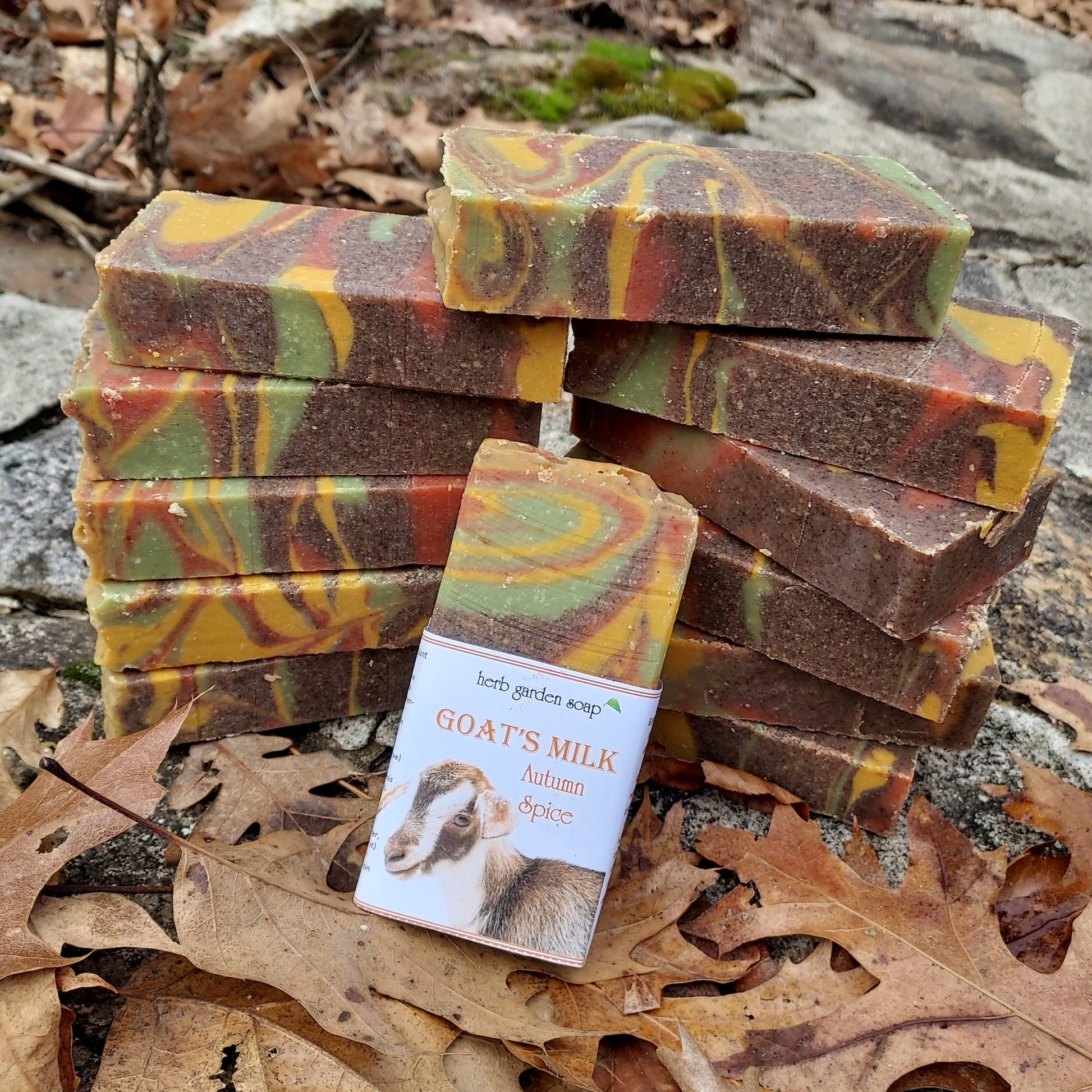 autumn spice soap dozen