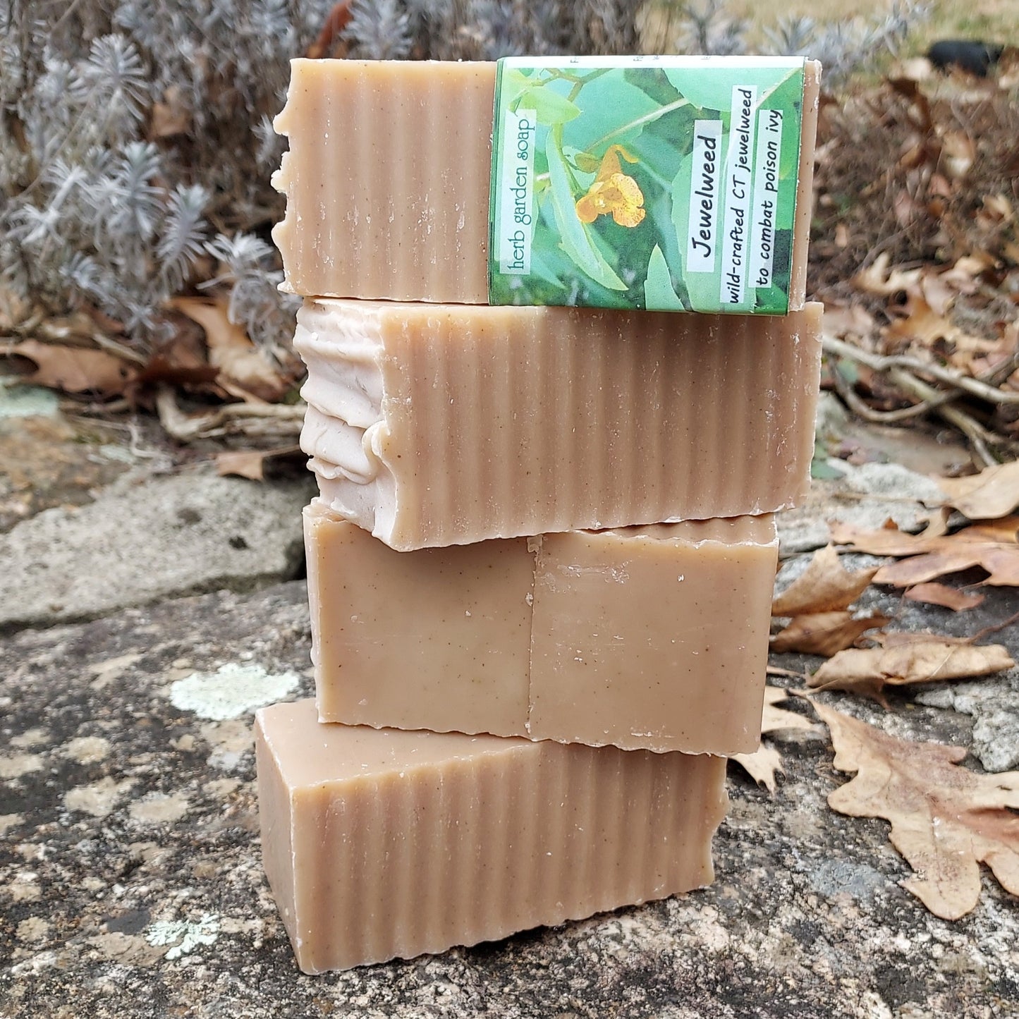 jewelweed soap large, four
