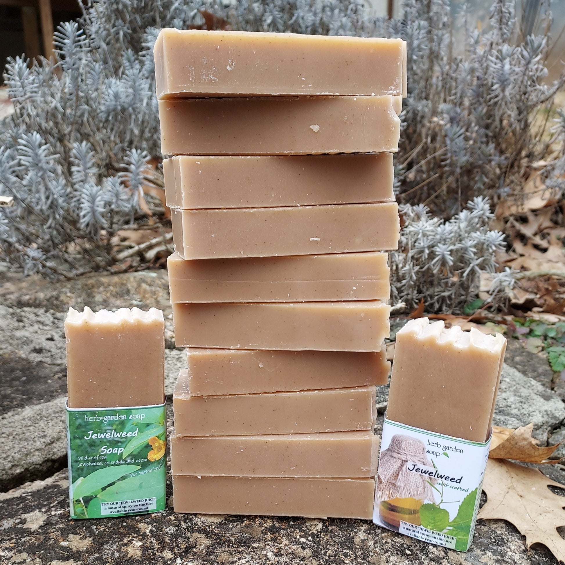 jewelweed soap dozen