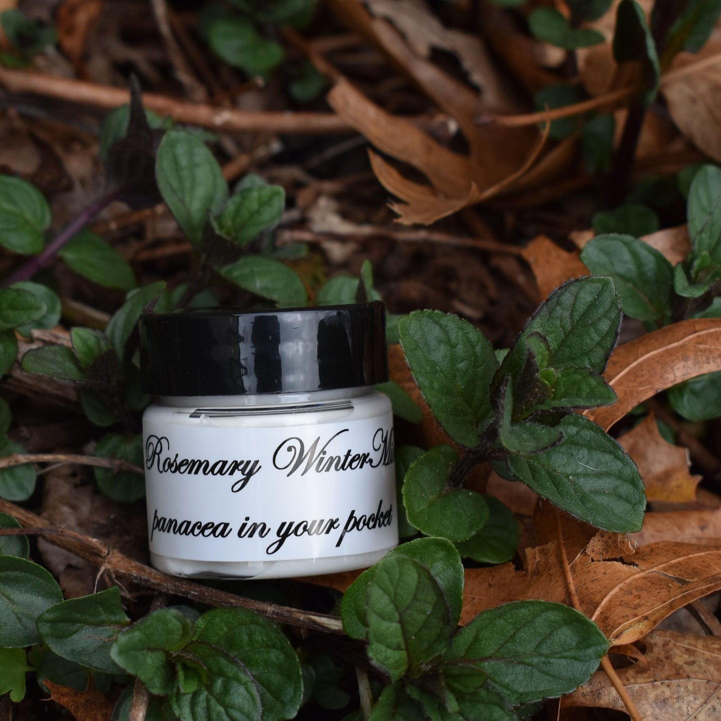 Rosemary WinterMint Refresher Organic Body Cream