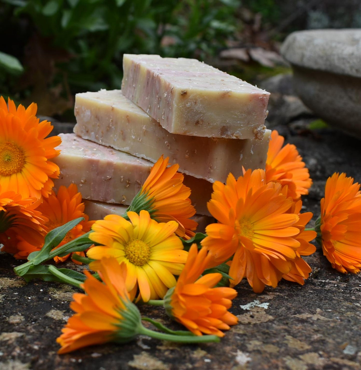 Oat Calendula Rose Natural Soap